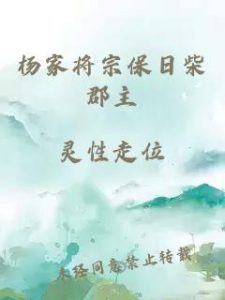 杨家将宗保日柴郡主